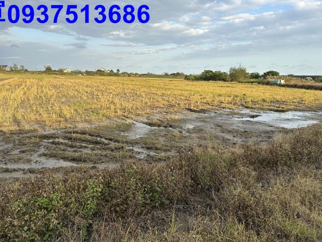 宜蘭壯圍農地-14