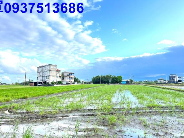 宜蘭壯圍農地-11