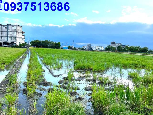 宜蘭壯圍農地-7