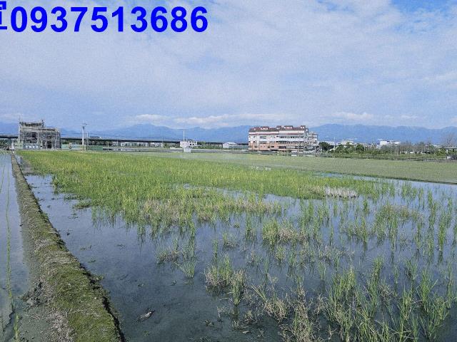 宜蘭壯圍農地-2