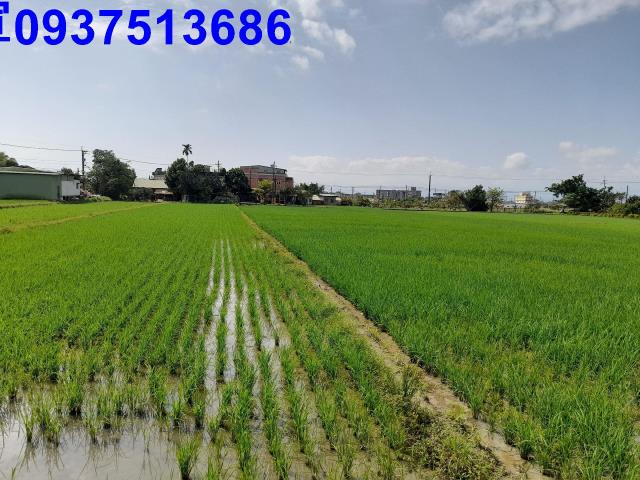 宜蘭礁溪農地-6