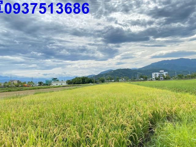 宜蘭宜蘭市農地-2