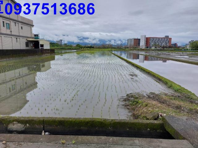 宜蘭宜蘭市農地-0