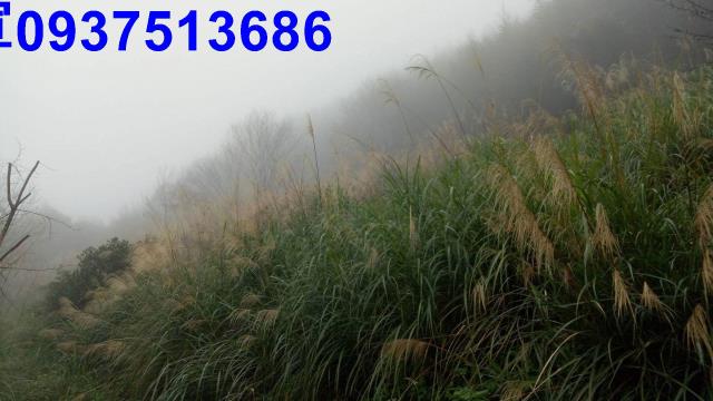 新竹原住民保留地-13