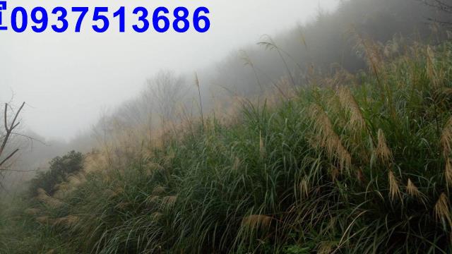 新竹原住民保留地-0