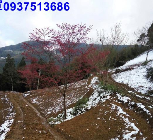 新竹原住民保留地-6