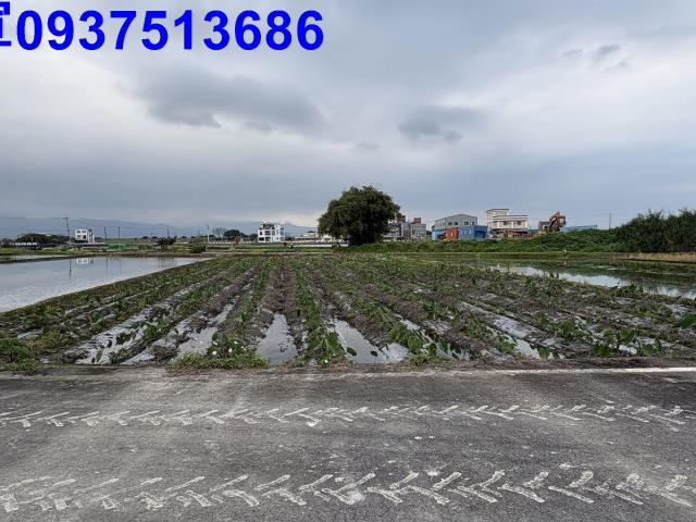 宜蘭五結農地-1