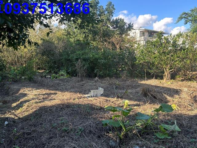 宜蘭員山農地-2