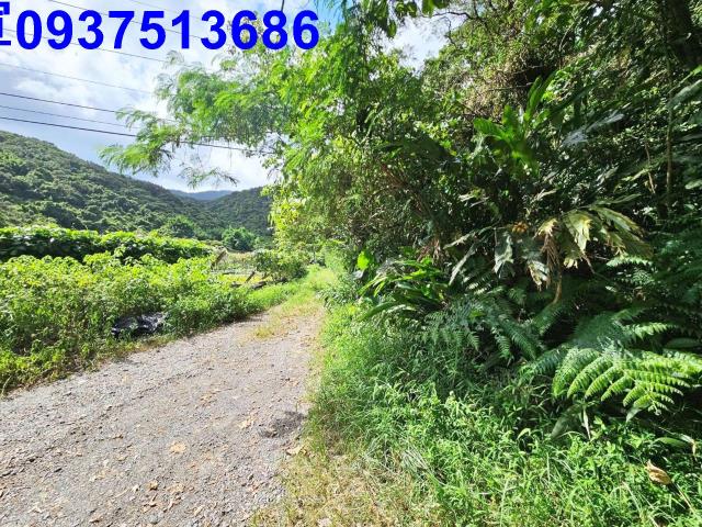 宜蘭頭城山坡地-10