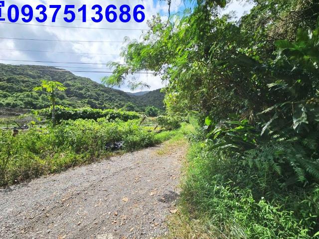 宜蘭頭城山坡地-11