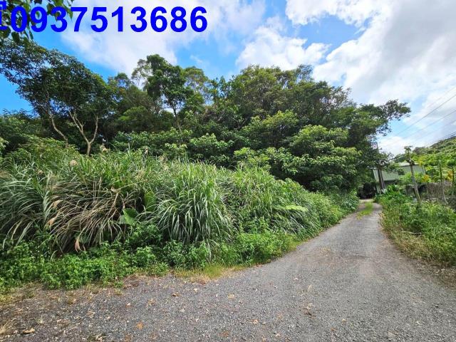 宜蘭頭城山坡地-3