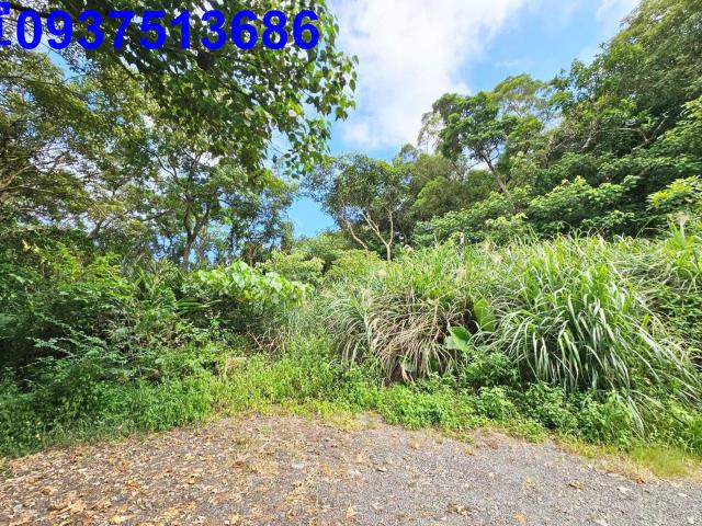 宜蘭頭城山坡地-4