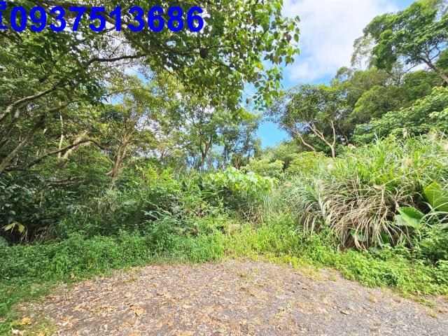 宜蘭頭城山坡地-5