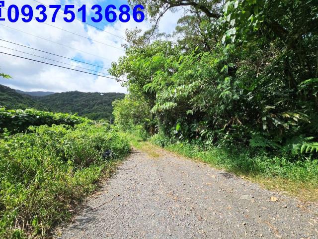 宜蘭頭城山坡地-6