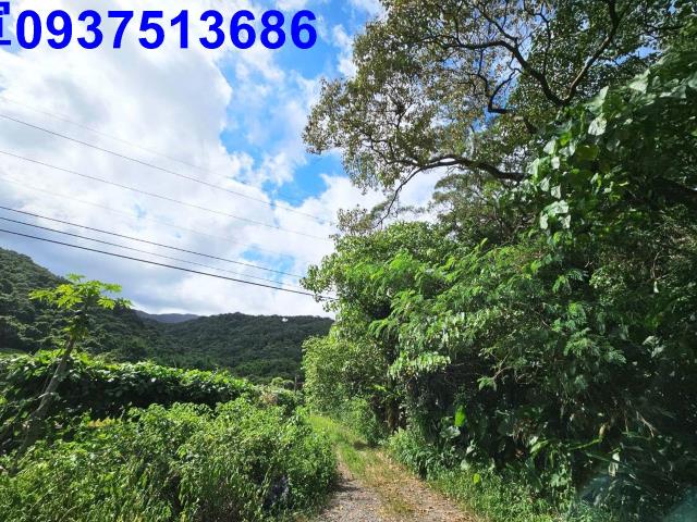 宜蘭頭城山坡地-7