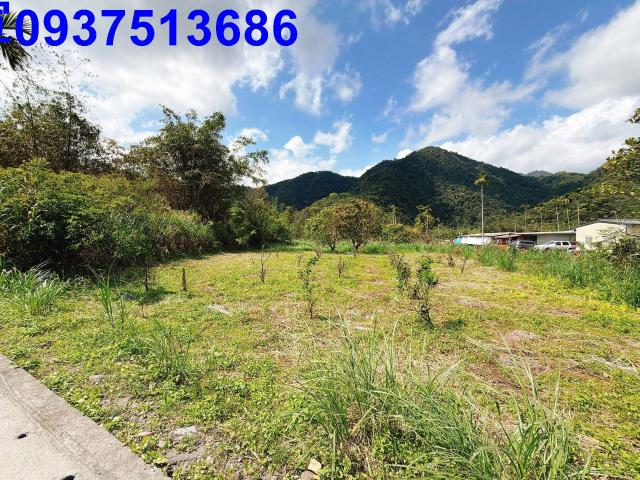 宜蘭員山農地-10