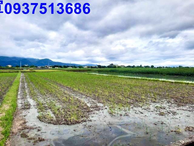 宜蘭三星農地-8