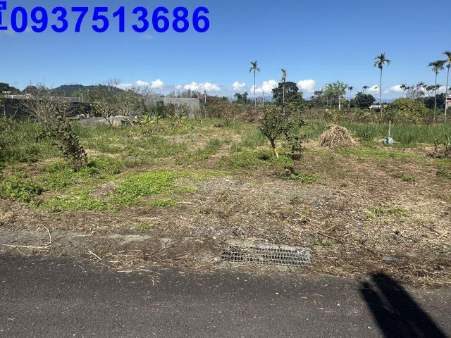 宜蘭冬山農地-4