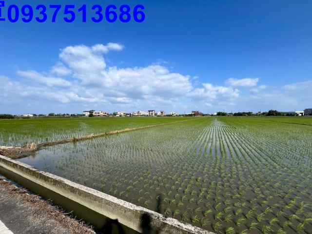 宜蘭礁溪農地-1