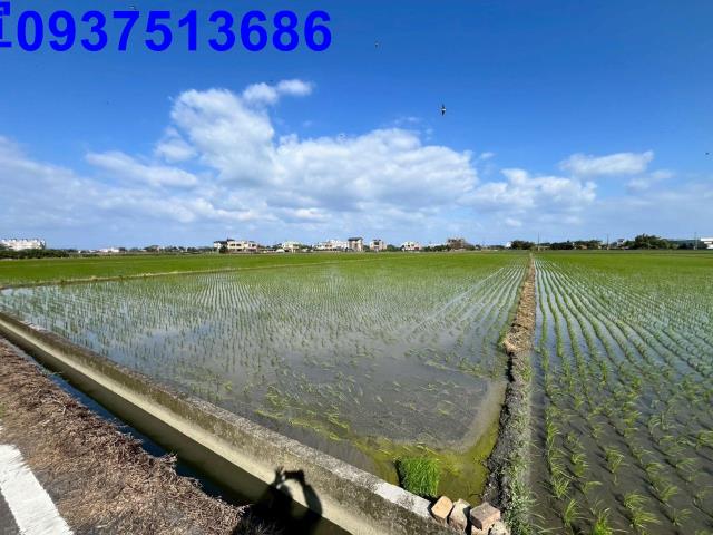 宜蘭礁溪農地-4