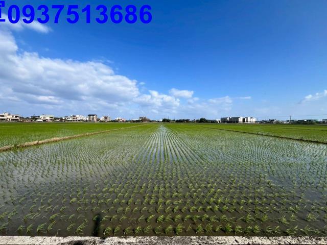 宜蘭礁溪農地-5