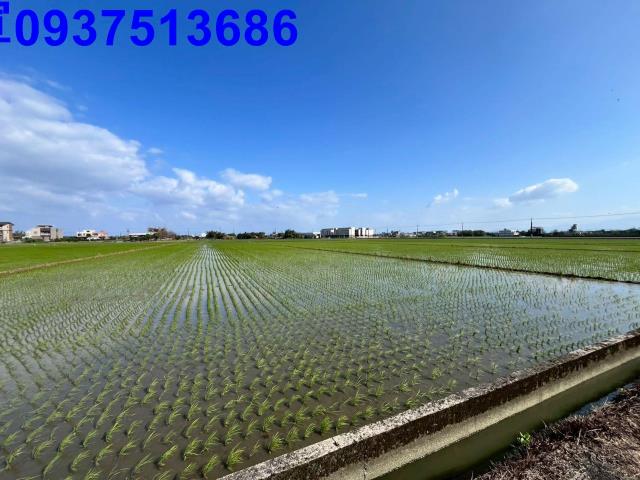 宜蘭礁溪農地-8