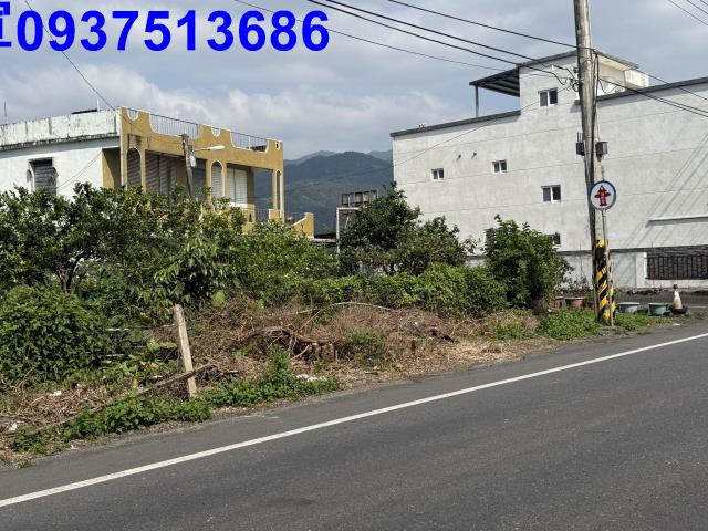 宜蘭頭城建地-3