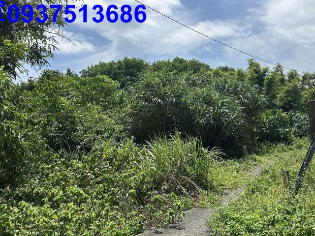 新北貢寮建地-12