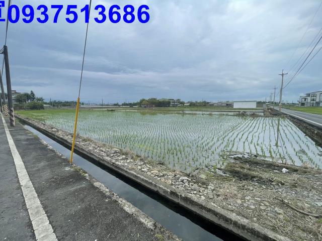 宜蘭三星農地-8