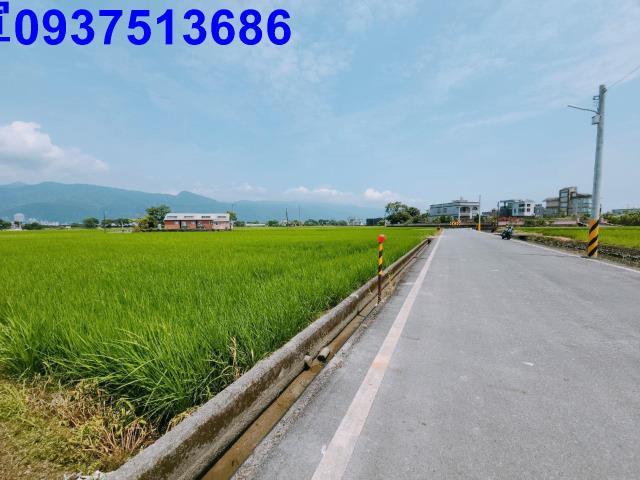 宜蘭礁溪農地-11