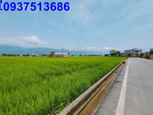 宜蘭礁溪農地-12