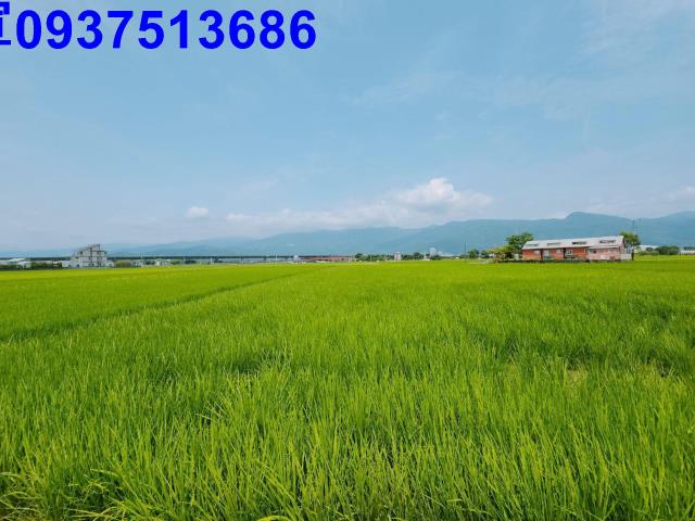 宜蘭礁溪農地-13