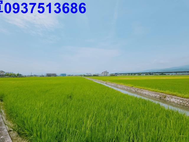 宜蘭礁溪農地-2