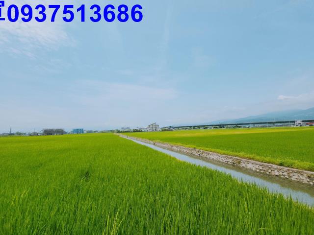 宜蘭礁溪農地-4