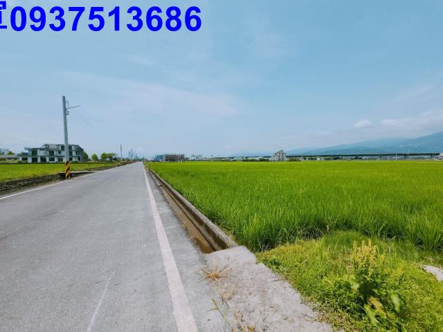 宜蘭礁溪農地-8