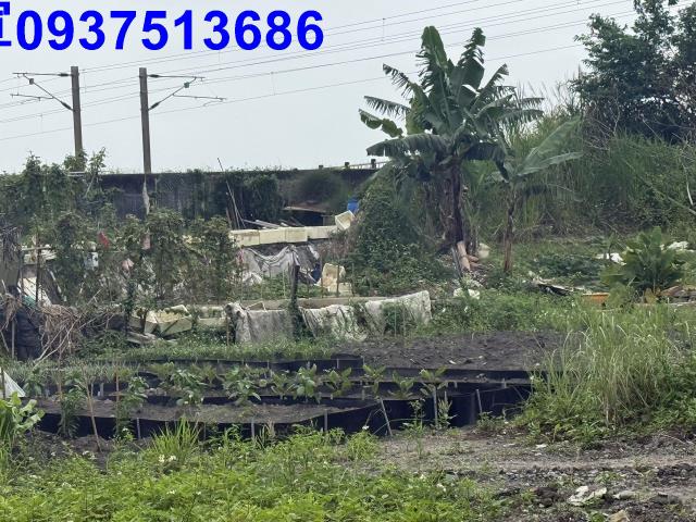 宜蘭宜蘭市公園用地-11