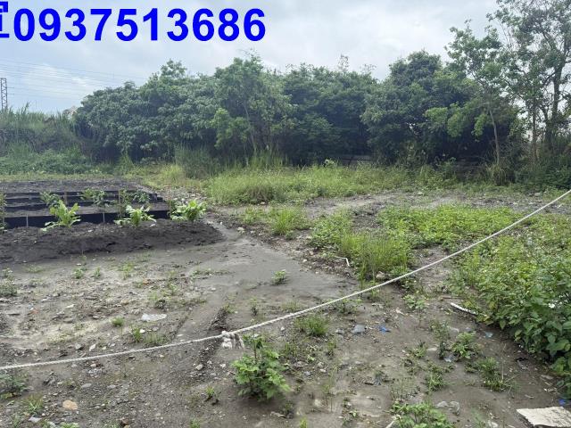 宜蘭宜蘭市公園用地-5