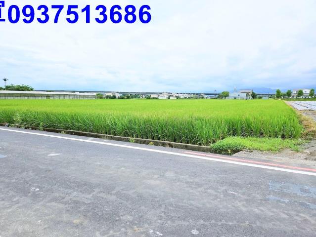 宜蘭壯圍農地-14