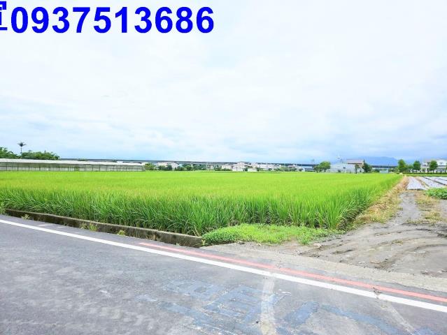 宜蘭壯圍農地-1