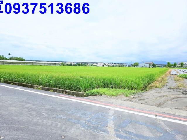 宜蘭壯圍農地-2