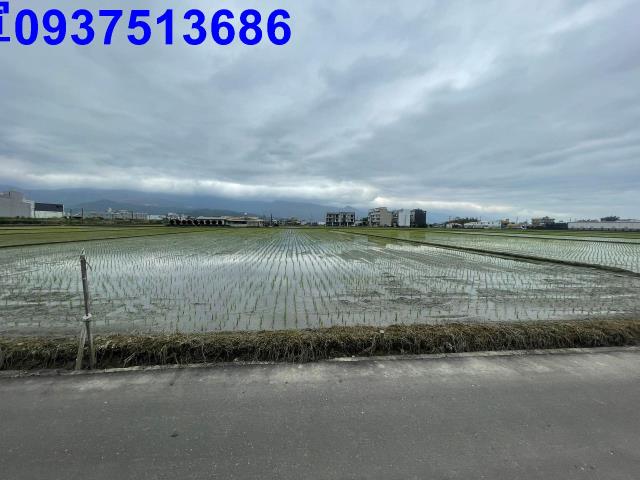 宜蘭宜蘭市農地-0