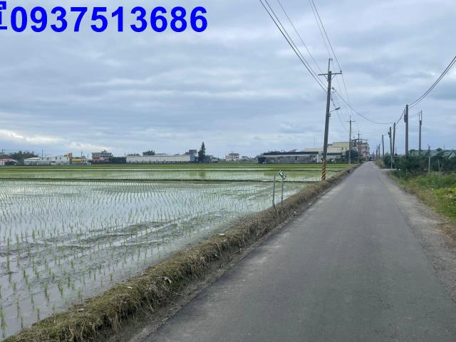 宜蘭宜蘭市農地-7