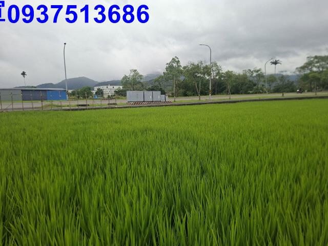 員山農地-1