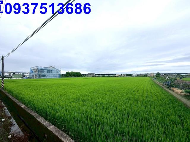 宜蘭市農地-7