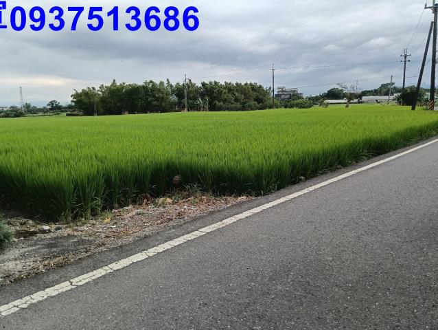 宜蘭頭城農地-0