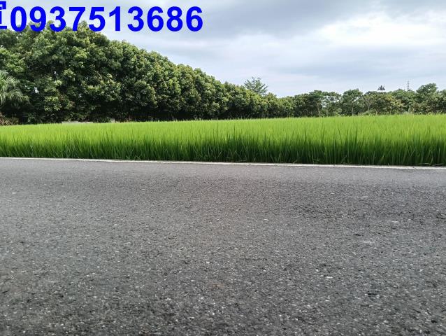 宜蘭頭城農地-4