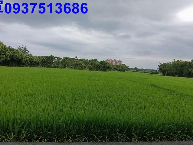 宜蘭頭城農地-5