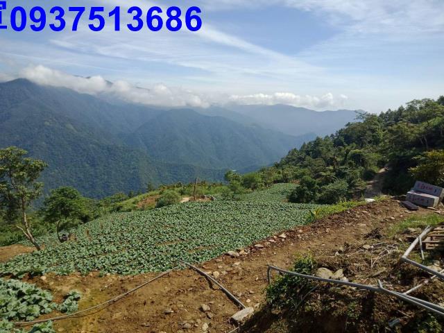 宜蘭南澳山坡地-1