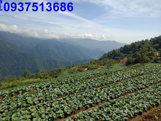宜蘭南澳山坡地-2