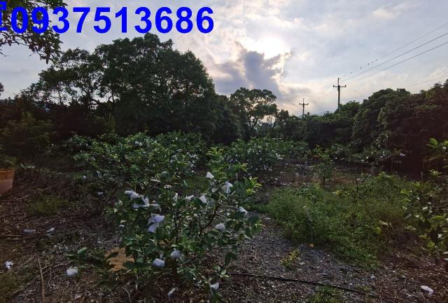 宜蘭礁溪農地-7